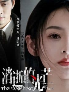 消逝的光芒 - 现代都市 (2025) 海报