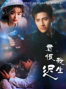 君恨我生迟 - 女频恋爱 (2025) 海报