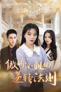 傲娇小姐的逆转法则 - 女频恋爱 (2025) 海报