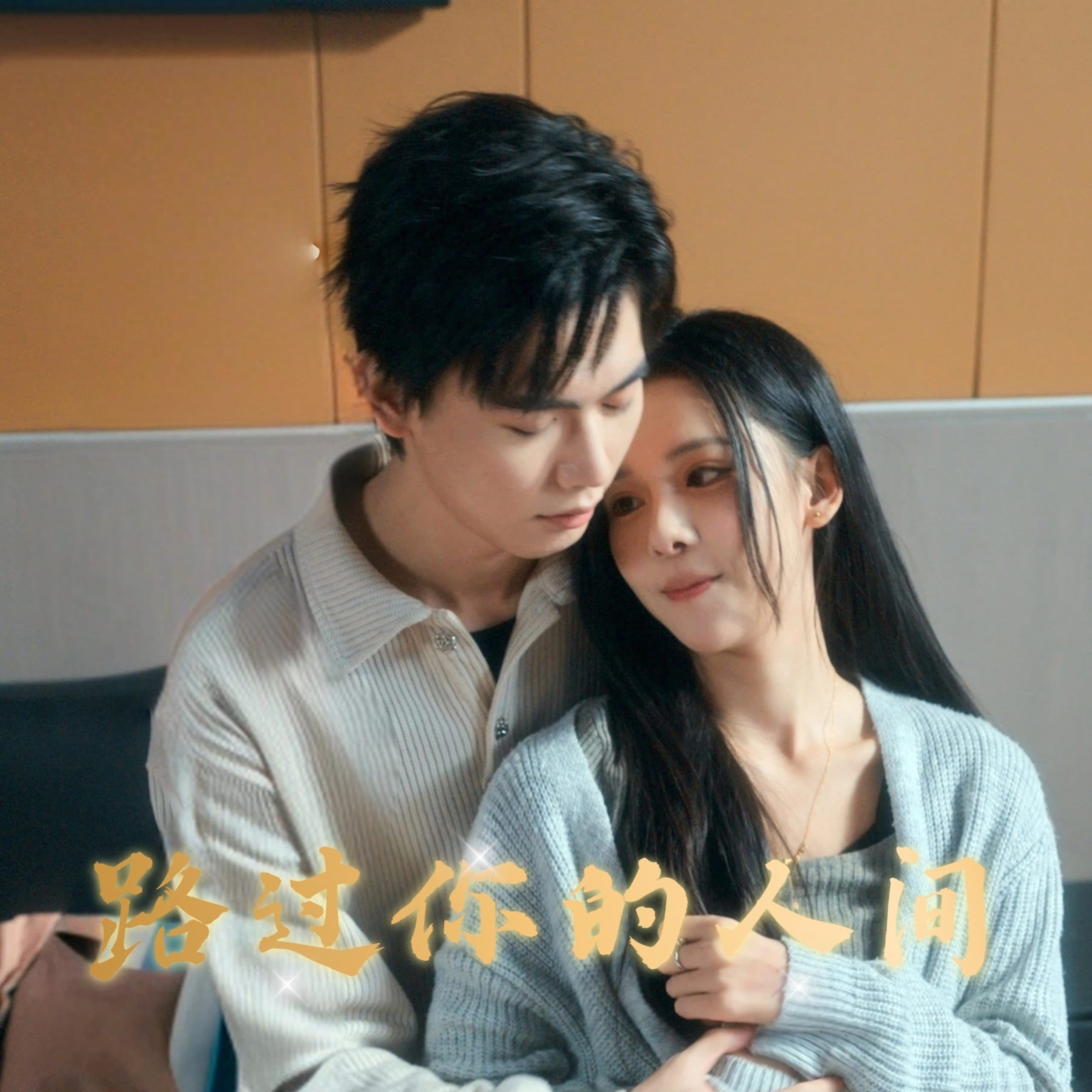 路过你的人间 - 现代都市 (2025) 海报