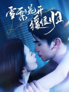 雪梨花开缓缓归 - 女频恋爱 (2025) 海报