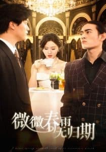 微微春雨无归期 - 女频恋爱 (2025) 海报