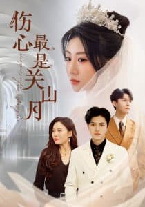 伤心最是关山月 - 现代都市 (2025) 海报