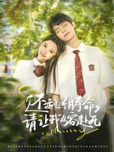 还剩三个月寿命,请让我从容赴死 - 现代都市 (2025) 海报