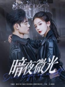 暗夜微光 - 女频恋爱 (2025) 海报