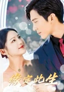 缘定此生 - 女频恋爱 (2025) 海报