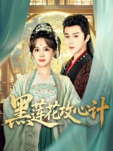 黑莲花攻心计 - 古装仙侠 (2025) 海报