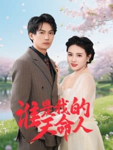 谁是我的天命人 - 女频恋爱 (2025) 海报