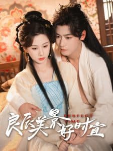 良辰美景好时宜 - 古装仙侠 (2025) 海报