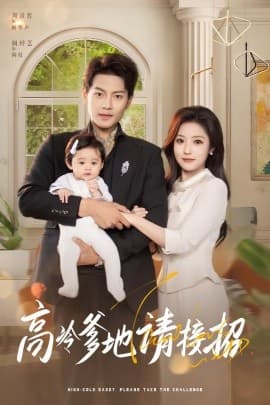 高冷爹地请接招 - 现代都市 (2025) 海报