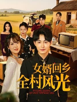 女婿回乡全村风光 - 现代都市 (2025) 海报