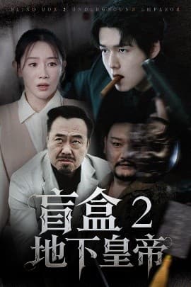 盲盒2地下皇帝 - 现代都市 (2025) 海报
