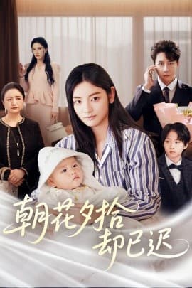 朝花夕拾却已迟 - 现代都市 (2025) 海报