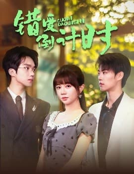 错爱倒计时 - 女频恋爱 (2025) 海报