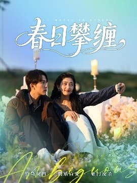 春日攀缠 - 女频恋爱 (2025) 海报