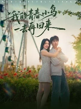 我的青春小鸟一去再回来 - 现代都市 (2025) 海报