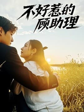 不好惹的顾助理 - 女频恋爱 (2025) 海报