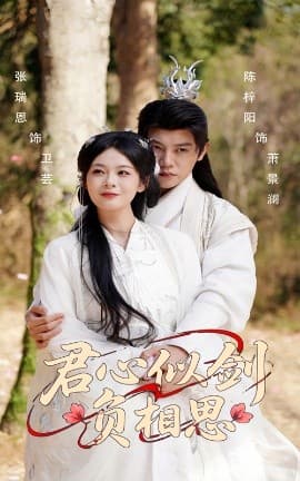 君心似剑负相思 - 古装仙侠 (2025) 海报