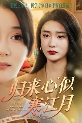 归来心似寒江月 - 现代都市 (2025) 海报