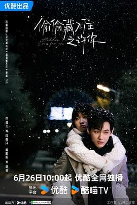 偷偷藏不住之许你 - 国产剧 (2025) 海报