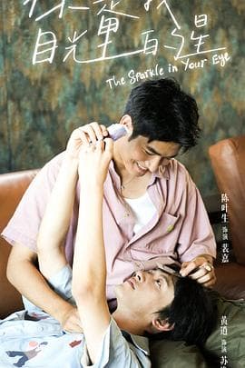 你是我目光里的星 - 国产剧 (2025) 海报