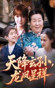 天降玄孙龙凤呈祥 - 女频恋爱 (2025) 海报