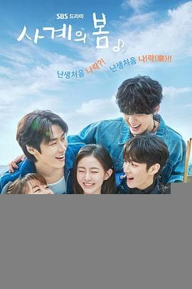 四季之春 - 韩剧 (2025) 海报
