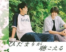 向阳之处必有声 - 现代都市 (2024) 海报