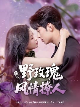 野玫瑰风情撩人 - 女频恋爱 (2025) 海报