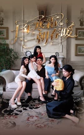 十年寒霜一朝春暖 - 女频恋爱 (2025) 海报