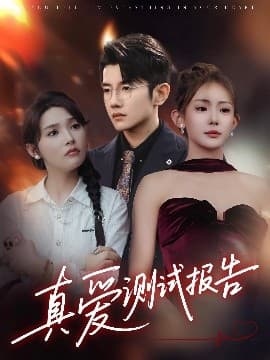 真爱测试报告 - 女频恋爱 (2025) 海报