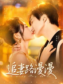 追妻路漫漫 - 女频恋爱 (2025) 海报