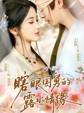 瞎眼国舅的露水情缘 - 女频恋爱 (2025) 海报