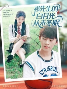 祁先生的白月光从未冬眠 - 女频恋爱 (2025) 海报