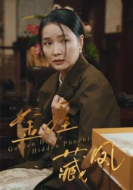 金屋藏凤 - 现代都市 (2025) 海报