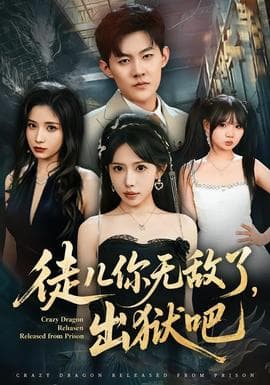 徒儿你无敌了,出狱吧 - 现代都市 (2026) 海报
