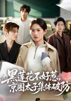 黑莲花不好惹,京圈太子集体破防 - 现代都市 (2026) 海报
