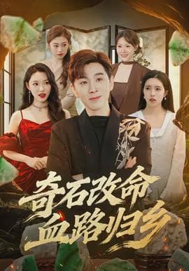 奇石改命血路归乡 - 现代都市 (2026) 海报
