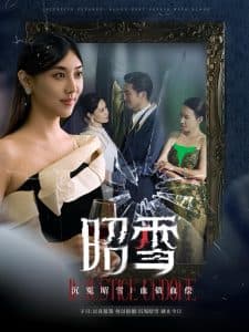 昭雪 - 国产剧 (2024) 海报