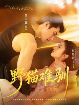野猫难驯 - 女频恋爱 (2026) 海报