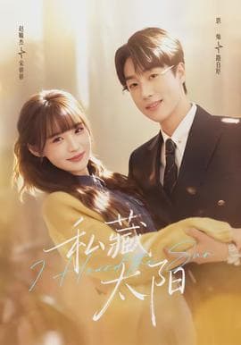 私藏太阳 - 现代都市 (2026) 海报