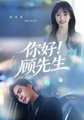 你好!顾先生 - 海报